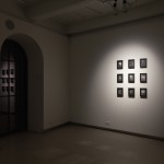 Fotografijos_grudas_16