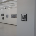 20150127_0531