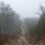 ClearOfPeople_028
