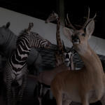 Zoo Museum, Kaunas 2013