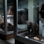 Zoo Museum, Kaunas 2013 (2)