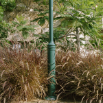 gardening_the_suburbs_25_x_25_cm_