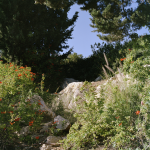 gardening_the_suburbs_25_x_25_cm_