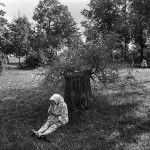 1984. Laugaliai
