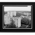 Oskaras Armonas copy