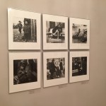 IMG_8865