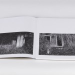 Vytautas Pletkus "Vanishing"