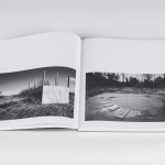 Vytautas Pletkus "Vanishing"