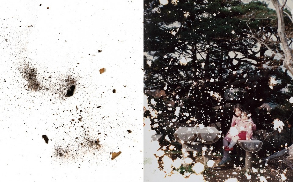 Mayumi Suzuki_Japan_The restoration will_2