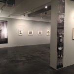 IMG_5226