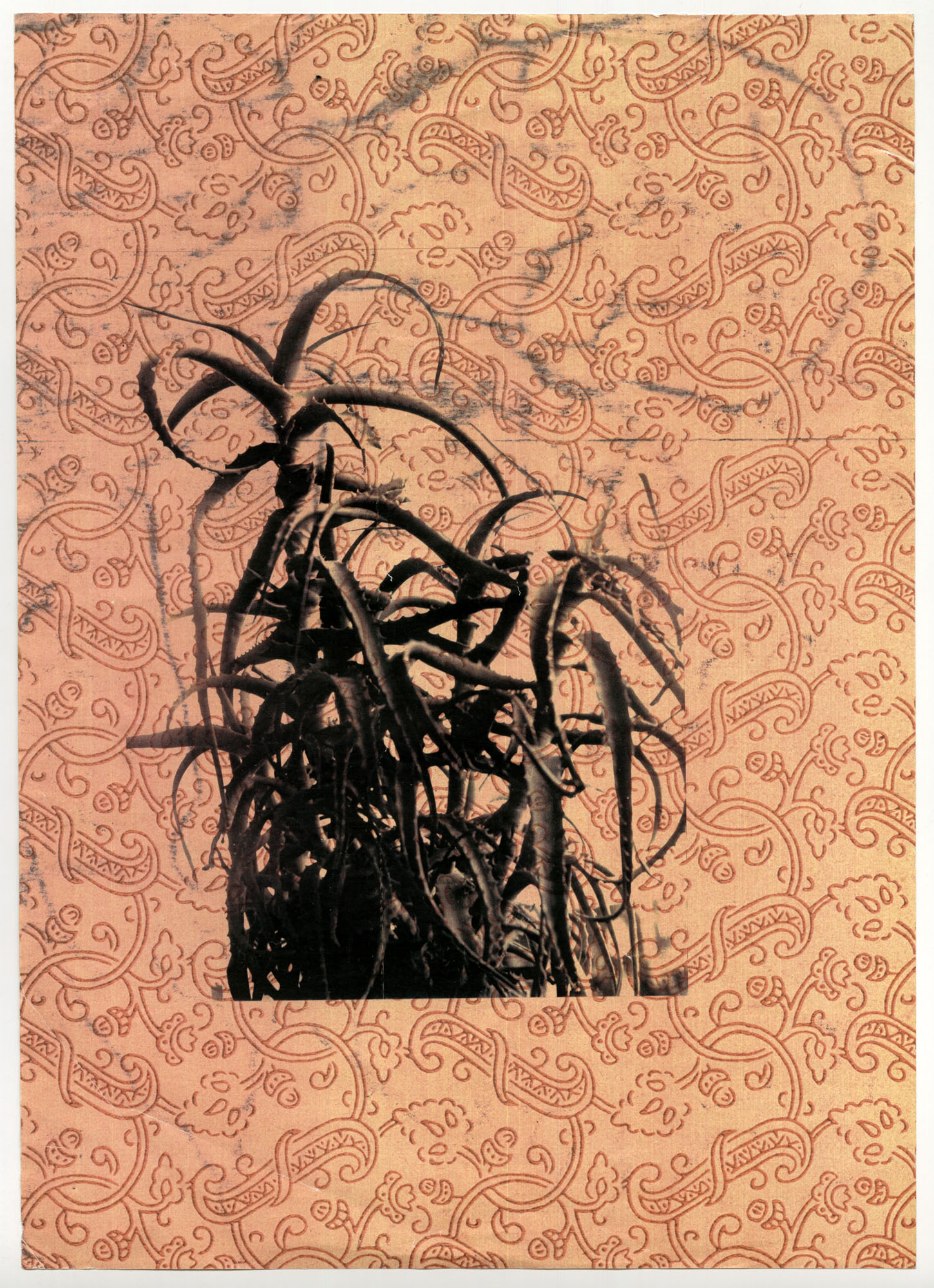 Liagas,be_pavadinimo,1995