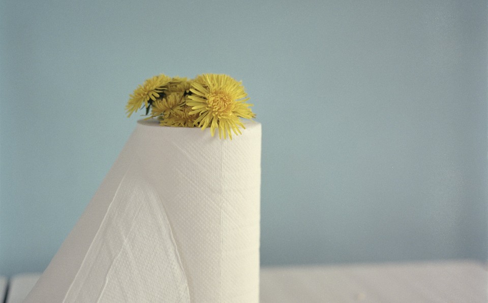 Clare Gallagher. Is serijos Buities tekme. 2011 m. 2500p