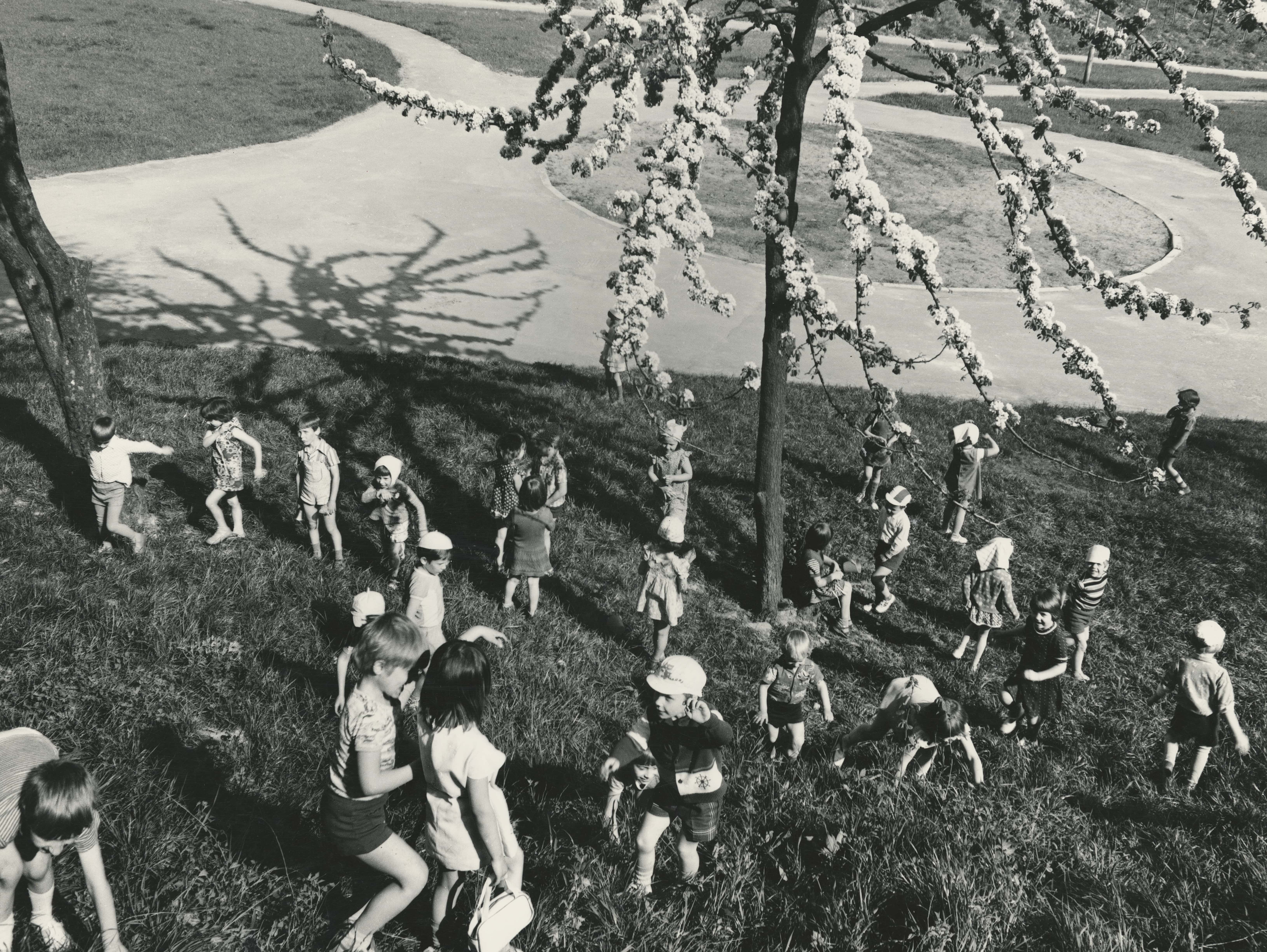 Romualdas Rakauskas. Žydėjimas, 113. 1974–1984 m. Lietuvos fotomenininkų sąjungos archyvas-min