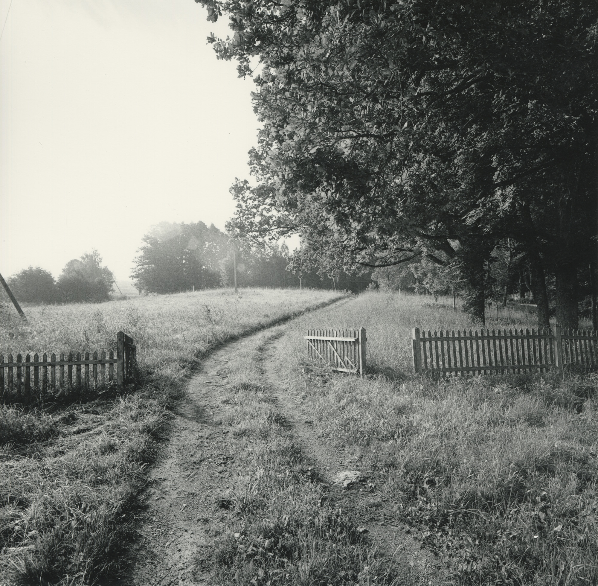 Jonas Dovydėnas. Iš serijos Sugrįžimas į paliktą kraštą (1996–2002) 4