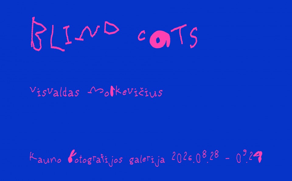 blind-cats-web-h